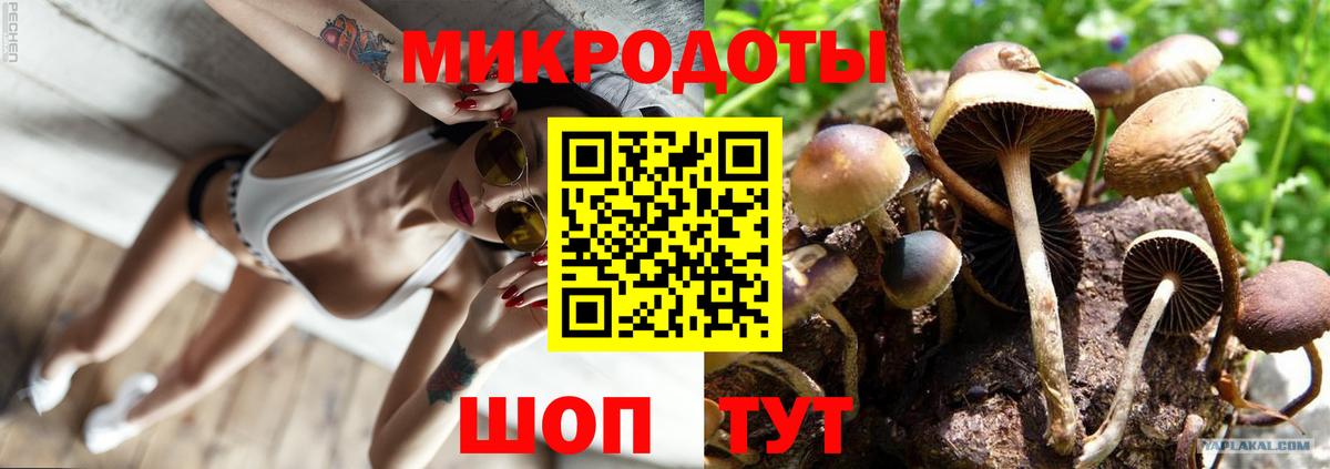 Псилоцибиновые грибы мицелий  Псилоцибиновые грибы Psilocybine cubensis  купить   Ялуторовск  Вход с VPN 