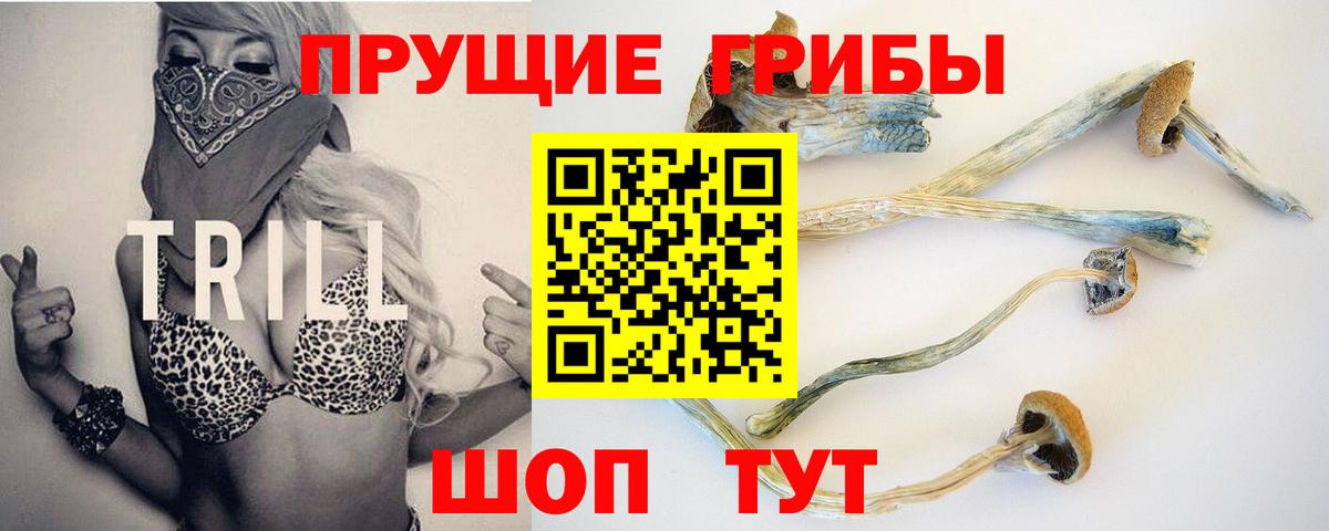 Галлюциногенные грибы Psilocybine cubensis Ялуторовск